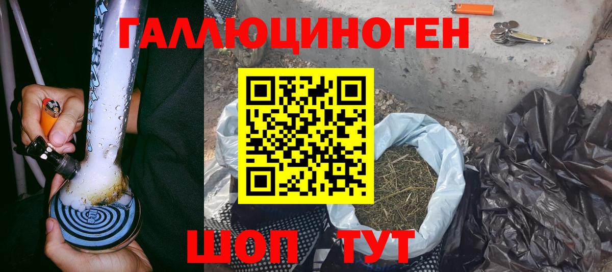 Галлюциногенные грибы мухоморы Долгопрудный