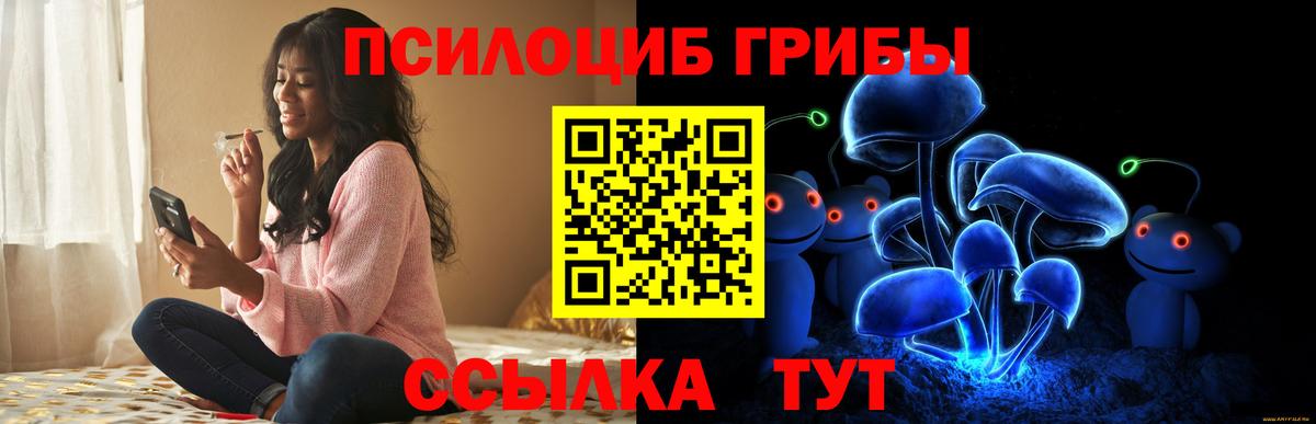 Долгопрудный  Псилоцибиновые грибы Cubensis  Вход с VPN  Псилоцибиновые грибы мицелий 
